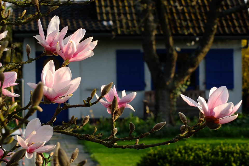 Ce qu’on doit savoir sur l’abri de jardin