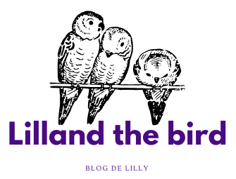 Lillandthebirds